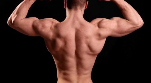 5 лучших упражнений для спины, строящих массу