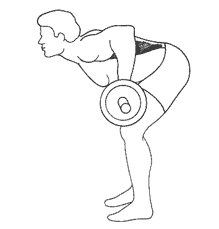 При тяге штанги в наклоне вы разрабатываете широчайшие мышцы спины, а не поясничный отдел. Держите туловище параллельно полу в течение всего упражнения. Обратите внимание на то, что штанга подтягивается к верхней части брюшного пресса, а не к пекторальным мышцам. 