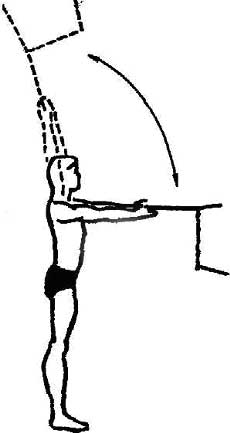 Бодибилдинг для всех - Упражнения для мышц плечевого пояса и рук