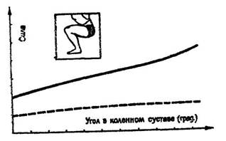 Зависимость силовых показателей мышц-разгибателей йог от угла в наклонном суставе 