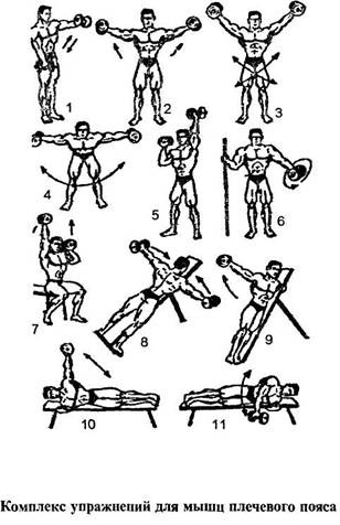 Упражнения для мышц плечей