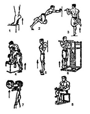 Комплекс упражнений для развития мышц ног